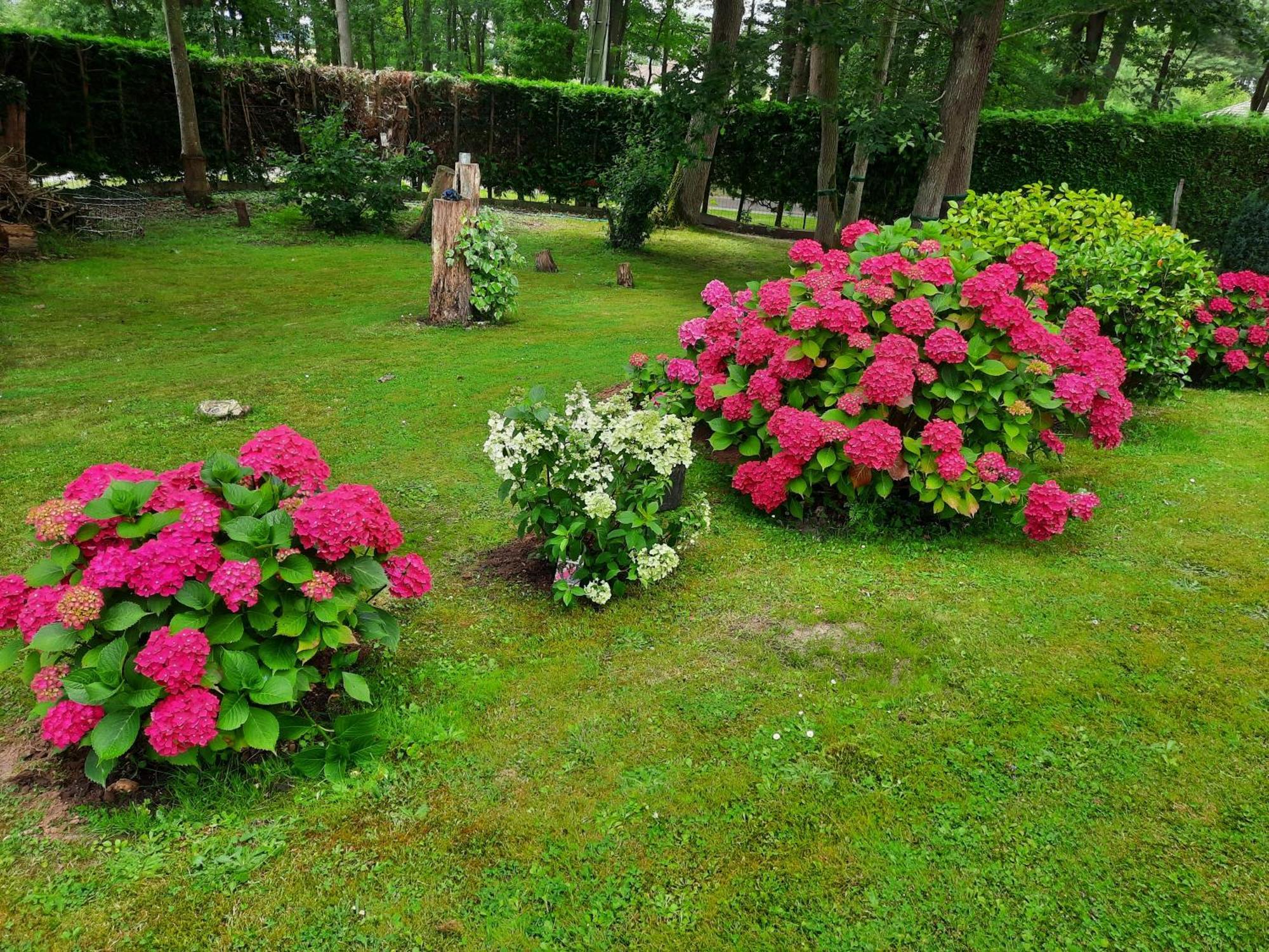 Bed and Breakfast Chambre D Hote Les Bosquets Cauge Zewnętrze zdjęcie